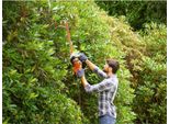 Black & Decker Elektro-Heckensch.,500W,50Cm,22Mm,SäGebl