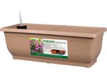Nohel Garden Cassetta Auto-Irrigante Torenie Modern Plastica Opaca Colore: Marrone, Larghezza: 50 Cm