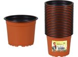 Nohel Garden Premium Vcg Vaso Da Fiori In Plastica Leggera D9Cm 20Pcs