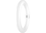 Osram Led Tube T9C Em 22, Tubo Led Ad Anello, 11W, 1320Lm, 4000K, Luce Bianca Fredda, Alternativa Led Per Le Classiche Lampade Fluorescenti T9, Lunga Durata, Basso Consumo Energetico