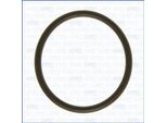 Ajusa 16072700 Guarnizione Collettore Di Aspirazione Per Vw Golf V Hatchback (1K1) Polo (9N) Golf Vi (5K1) Polo Hatchback (6R1, 6C1) Touran (1T1, 1T2) Tiguan (5N)