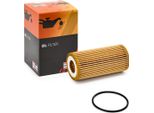Filtro Olio Champion COF100697E Elemento Filtrante Per Vw Golf Vii Hatchback (5G1, BQ1, BE1, BE2) Polo Hatchback (6R1, 6C1) Passat Estate (3G5, CB5)
