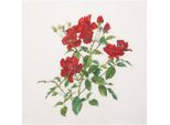 Thea Gouverneur Kit Punto Croce "Fervid Evenweave"", 44X44Cm"
