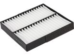 Febi Bilstein 176335 Filtro Abitacolo Filtro Antipolline Per Fiat Fullback Pickup (502, 503)