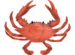 Modello Di Granchio Realistico Animale Marino, Giocattolo Educativo In Plastica Simulata Per Bambini (PL127777 Rosso)