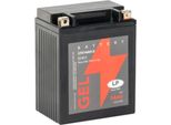 Batteria 12V 14Ah Per Moto Batteria Di Avviamento Mg LTX14AH-3