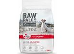 Alimenti Vetexpert Ultra Mini Puppy Manzo