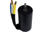 Amewi Brushless Motor MTX10 (012-HPGB3970A)