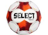 Palloni Select 160070
