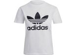 Adidas Magliette Trefoil Tee, GN2899, Taglia: 164