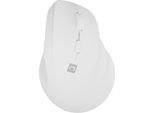 Natec Crake 2 Mouse Universal Right-Hand Rf Wireless + Bluetooth Optical 2400 Dpi