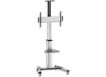 Techly ICA-TR15, 50 Kg, 177,8 Cm (70"), 94 Cm (37""), 600 X 400 Mm, 600 X 400 Mm, -12 - 5°"