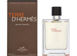 Hermes Terre D'hermes Eau De Toilette Spray 100Ml