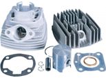 Kit Cilindri Polini Aluminium Sport 65Cc 46Mm Per Peugeot 103, 104, 105, Gl 10, Spx 50