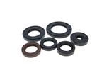 Set Paraolio Motore Naraku Per Piaggio 50 2T