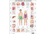 Larsen Larsen Puzzle Maxi Corpo Umano Junior - Cartone - 35 Pezzi