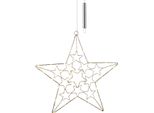 Stella In Metallo 30 Led - Argento / Oro - Circa 50 Cm