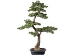 Pianta Artificiale Bonsai Di Cedro 100X60 Cm In Ciotola Di Plastica Nera 33X22 Cm Decorativa