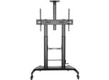 Aisens FT100TE-123 Supporto Da Pavimento Inclinabile Con Rotelle E Maniglia Per Tv 60-100"/ Fino A 100 Kg"