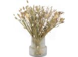 Fiori Secchi - Mazzo 'Large Anita'