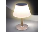 1.01 Lampada Da Tavolo A Led Solare - 20 X 28 Cm - 10 Led / Bianco Caldo - Base Colore: Argento