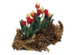 Fiori Per Casa Delle Bambole, Fiori In Miniatura, Fiori Di Tulipano Per Casa Delle Bambole, Fiori Artificiali In Miniatura, Fiori Per Casa Delle Bambole Fai Da Te, Decorazioni Per Casa Delle Bambole