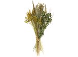 Set Fai Da Te Con Fiori Secchi Per Decorazioni Eleganti E Composizioni Floreali Creative