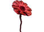 Repens Rosette Erika Fiori Secchi In Legno Fiori Esotici Decorativi Confezione Da 25 Pezzi 8-9 Cm, 25 Pezzi