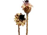 Nerifolia Bud 25 Pz - Fiori Secchi Decorativi Per La Floricoltura Funeraria