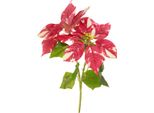 Stella Di Natale Artificiale Rosso Crema 35Cm 6Pcs Decorazione Avvento Fiore Artificiale