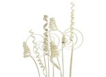 Assortimento Di Canne Mini Sbiancate 75 Pz - Spirali Decorative In Legno Per La Floricoltura E L'artigianato