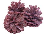 Pigne Di Pino Nero Rosso Brinato Decorazione Naturale 1Kg 5-7Cm Ideale Per Decorazioni Natalizie Corona D'avvento