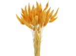 Lagurus Giallo, Erba Decorativa, Erba Coda Di Lepre, Fiori Secchi, L40-55Cm 25G