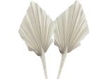 Palmspear Mini Bianco Lavato Set Da 100 Pezzi - Composizione Floreale Secca Decorazione Per Funerali E Commemorazioni, 100 Pezzi