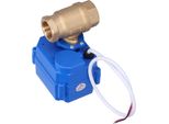 Valvola A Sfera Motorizzata In Ottone Micro Elettrica Diritta Attraverso 1/2In CWX-15N-CR04-DC9~24V-DN15