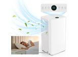 Jayseuw Deumidificatore Deumidifica 16L/Giorno 20-25M³ - 2L - Timer, Deumidificatore Per Ambienti | Deumidificatore