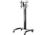 Peerless SR560M, Carrello Multimediale, Nero, 68,2 Kg, 4,55 Kg, 81,3 Cm (32"), 190,5 Cm (75"")"