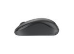 Logitech M240 Silenzioso, Ambidestro, Ottico, Senza Fili Rf + Bluetooth, 4000 Dpi, Grafite