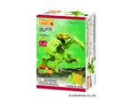 Il Mondo Degli Insetti Laq Mini Mantis