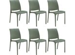 Milanihome.It - Set Di 6 Sedie Poltrone Da Giardino In Plastica Design Moderno Colorata Verdedi Coloreverde