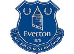 Everton Fc - Magnete Da Frigo, 3D TA6504 (Taglia Unica) (Blu)