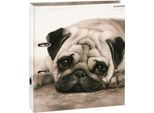 Cartella Starpak Dog A4 Per Cani