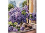 Luca-S Set Per Punto Croce "The Dreamer"", Schema Contato, 32X37Cm"