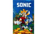 Sciarpa Mani E Viso Di Sonic The Hedgehog 30×50 Cm