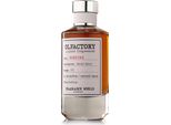 Mondo Dei Profumi Olfactory Bonfire Edp 100 Ml Unisex