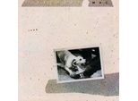 Fleetwood Mac - Tusk (Edizione Limitata) (Colore Verde) (2 Lp)