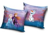 Cuscino Decorativo Frozen Wind 40 X 40 Cm