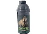 Bidon Dinosaur Paso PP23DZ-3021 550 Ml 29 X 9 X 8,5 Cm
