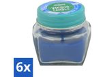 Airpure - Candela Contro Il Raffreddore - Candela Profumata - Sollievo Per Il Raffreddore - 28,5 G - Confezione Risparmio - 6 Pezzi