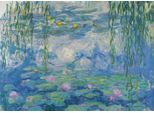 Ravensburger Collezione Di Puzzle: Ninfee 1000 Pezzi
